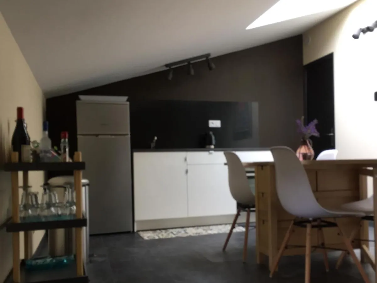 מלון Saint-Étienne-de-Boulogne Moulin A 3*,